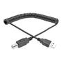 TRIPP LITE n Tripp Lite Series - USB cable - USB (M) to USB Type B (M) - USB 2.0 - 3.1 m - coiled, molded - black