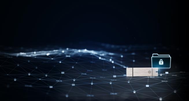 Kingston IronKey Basic S1000 - USB-flashstasjon - 16 GB - TAA-samsvar (IKS1000B/16GB)