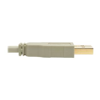 TRIPP LITE Usb 2.0 A To B Cable (M/M),  (U022-006-BE)