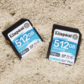 KINGSTON 512GB SDXC Canvas Go Plus 170R C10 UHS-I U3 V30 (SDG3/512GB)
