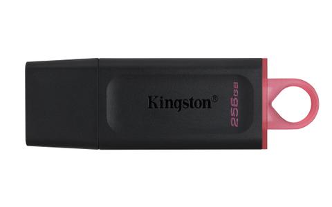 KINGSTON DataTraveler Exodia - 256GB (DTX/256GB)