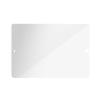 PanzerGlass Apple iPad 10.2in Case Friendly Privacy (P2673)