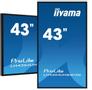 IIYAMA 43 3840x2160 UHD IPS panel  Haze 25% 500cd/m² Landscape and Portrait Signal FailOver Speakers