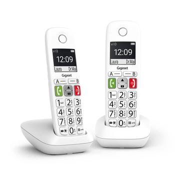 GIGASET E290 Duo Analog/ Dect (L36852-H2901-D202)