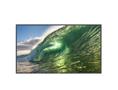 PHILIPS 55" D-LED ECO-design 4K Display And