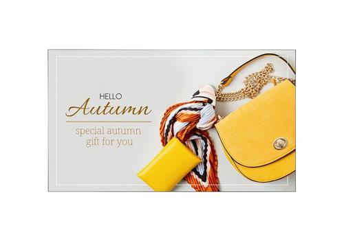 LG 55EJ5K-B Digital Signage OLED Wallpaper 55inch FHD Brightness 400cd/m2 Contrast 150.000:1 (55EJ5K-B)