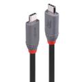 LINDY 1.5m USB 4 240W Type C Cable, 