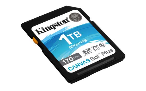 KINGSTON Canvas Go! Plus SD 1TB (SDG3/1TB)