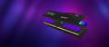KINGSTON 32GB 6400MT/s DDR5 CL32 DIMM FURY Beast RGB EXPO (KF564C32BBEA-32)