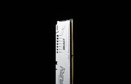 Kingston FURY Beast - DDR5 - modul - 16 GB - DIMM 288-pin - 6000 MHz / PC5-48000 - ikke-bufret (KF560C30BWE-16)