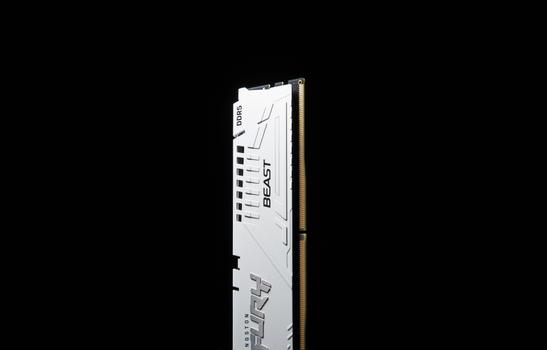 Kingston FURY Beast - DDR5 - modul - 16 GB - DIMM 288-pin - 6000 MHz / PC5-48000 - ikke-bufret (KF560C30BWE-16)