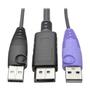 TRIPP LITE NetDirector DisplayPort USB Server Inter (B055-001-UDP)