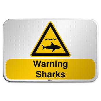 BRADY ISO Safety Sign - Warning (W/W054/EN497/RFLBD-600X400-1)