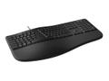 MICROSOFT Ergonomic Keyboard Biz Win32 USB NDX