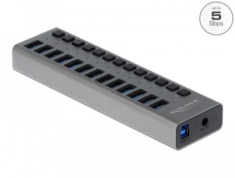 DELOCK External SuperSpeed USB Hub with 13 Ports + Switch (63738)