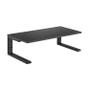 V7 DESKTOP MONITOR RISER STAND (DT1RSC)