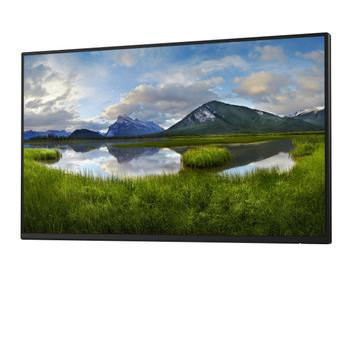 DELL 24 Monitor P2425H 60.45cm 23.8inch IPS 1920x1080 16:9 250cd/m2 100Hz without stand HDMI DP VGA USB3.2 (DELL-P2425HWO)