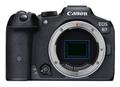 CANON EOS R7 Body