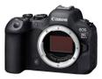 CANON Eos R6 Mark Ii Milc Body 24.2  (5666C004)