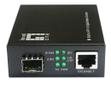 LEVELONE Rj45 To Sfp+ 10-Gigabit Media  (GVT-2051)