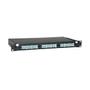 TRIPP LITE 36-Port Fiber Patch Panel 