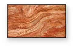 SONY 98" Pro BRAVIA LCD 440nit w/5yr PS