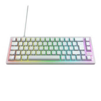 CHERRY XTRFY K5V2 65% keyboard white Pa (CX-K5V2-RGB-CPT-TPWHITE-R-NOR)