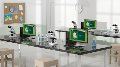 DELL OptiPlex SFF i5-14500 16GB 512GB SSD Integrated WLAN Kb Mouse 180W TPM W11P 1Y Basic Onsite (XVXN6)