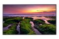 SAMSUNG 65" UHD/4K 16:9 QB65B edge-LED