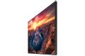 SAMSUNG 55" UHD/4K 16:9 QM55B edge-LED (LH55QMBEBGCXEN)