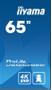 IIYAMA 65" 3840x2160,  UHD IPS panel (LH6565UHSB-B1)