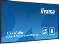 IIYAMA 43" 3840x2160,  UHD IPS panel (LH4365UHSB-B1)