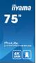 IIYAMA 75" LCD 4K UHD Professional (LH7575UHS-B1AG)