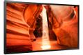 SAMSUNG OM55IN N-S 55IN LFD 1920 X 1080 SOC / 4000NITS LFD (LH55OMNESGBXEN)