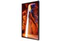 SAMSUNG OM55IN N-S 55IN LFD 1920 X 1080 SOC / 4000NITS LFD (LH55OMNESGBXEN)