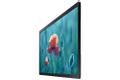 SAMSUNG 24" FullHD 16:9 QB24R 250 nits (LH24QBRBBGCXEN)