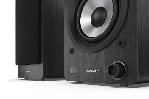 SHARP Bookshelf Speakers - Black (CP-SS30(BK))