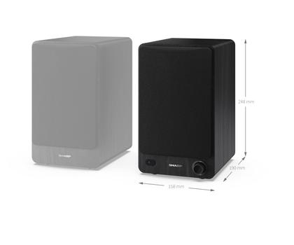 SHARP Bookshelf Speakers - Black (CP-SS30(BK))