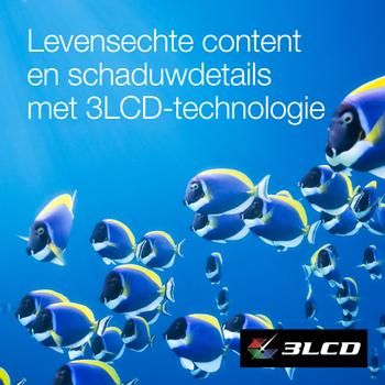 EPSON CO-FH02 Projector 3LCD 1080p 3000lm (V11HA85040)