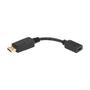 TRIPP LITE TRIPPLITE DisplayPort to HDMI Adapter Video Converter M/F 6inch 15.24cm (P136-000)