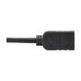 TRIPP LITE TRIPPLITE DisplayPort to HDMI Adapter Video Converter M/F 6inch 15.24cm (P136-000)