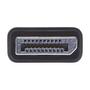 TRIPP LITE Eaton Tripp Lite Series DisplayPort to HDMI VGA Adapter Converter 4K x 2K @ 24/30Hz DP to HDMI VGA DPort 1.2 - Video converter - DisplayPort - HDMI, VGA - black (P136-06N-HV-V2)