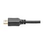 TRIPP LITE Series HDMI to VGA Active Adapter Cable (HDMI to Low-Profile HD15 M/M), 10 ft. (3.1 m) - Adapter cable - HDMI male to HD-15 (VGA) male - 3.05 m - shielded - black - thumbscrews (P566-010-VGA)