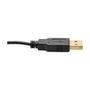 TRIPP LITE Eaton Tripp Lite Series HDMI to DisplayPort Active Converter 4K with USB Power, HDMI to DisplayPort (M/F), 4096 x 2160/4K x 2K @ 30 Hz, 6 in. - Video converter - HDMI - DisplayPort - black (P130-06N-DP-V2)