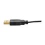 TRIPP LITE Eaton Tripp Lite Series HDMI to DisplayPort Active Converter 4K with USB Power, HDMI to DisplayPort (M/F), 4096 x 2160/4K x 2K @ 30 Hz, 6 in. - Video converter - HDMI - DisplayPort - black (P130-06N-DP-V2)