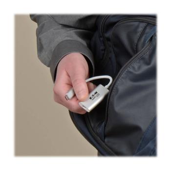 TRIPP LITE Usb-C To Mini Displayport 4K  (U444-06N-MDP-AL)