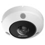 HIK VISION 12 MP DeepinView Immervision 