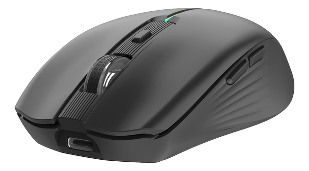 DELTACO Silent Rechargeable Wireless Mouse with BT+2.4GHz Connection (MS-816)