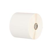 ZEBRA Tag, Polypropylene,  X1