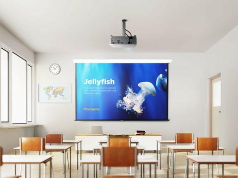 VIEWSONIC PA504W Projector,  WXGA  (PA504W)